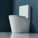 Set sanitari monoblocco rimless con copriwc soft close | KLEA-T kamalu - 2