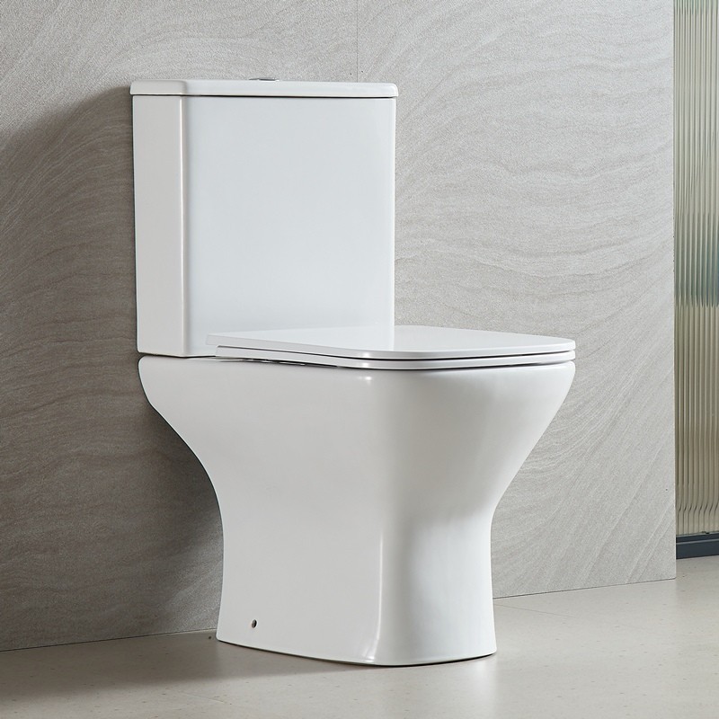 Set sanitari monoblocco rimless scarico a parete e soft close | ANTA-2300 kamalu - 6